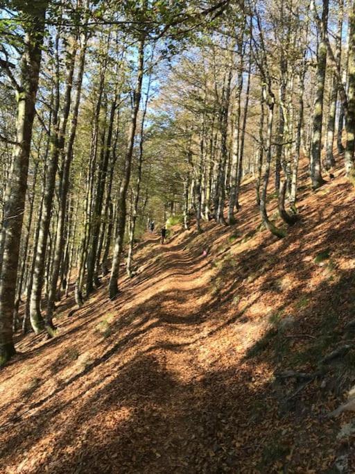 La Magie Entre Deux Lacs Villa Gerardmer Ngoại thất bức ảnh