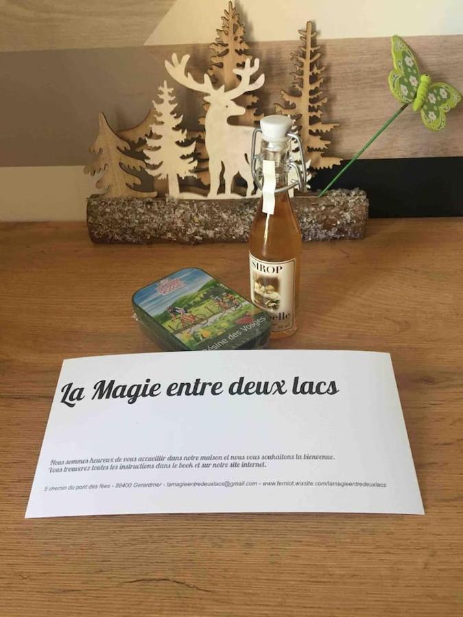 La Magie Entre Deux Lacs Villa Gerardmer Ngoại thất bức ảnh